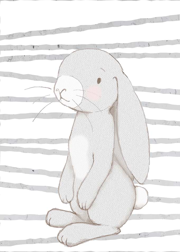Cute little Rabbit Kids