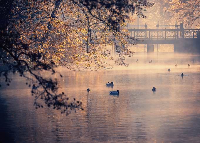 Autumn morning by the lake