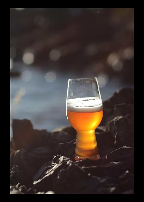 Beer Drinker Drinking