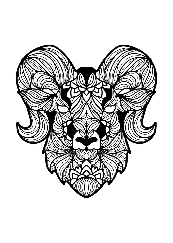 Ram