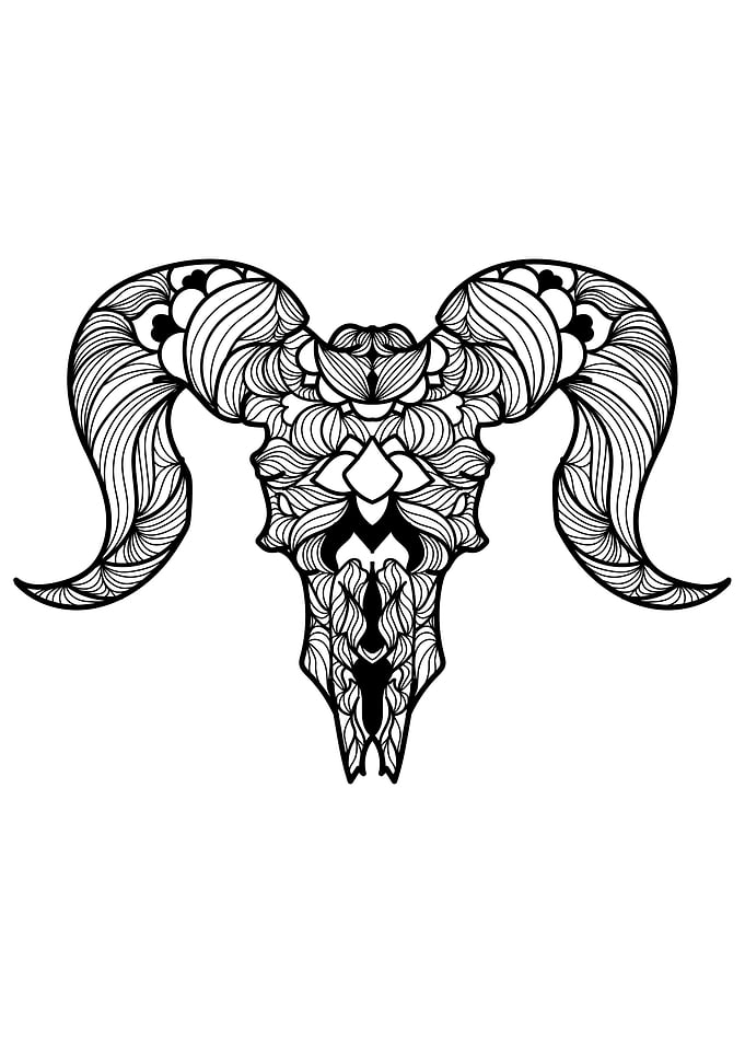 Skull and Bones