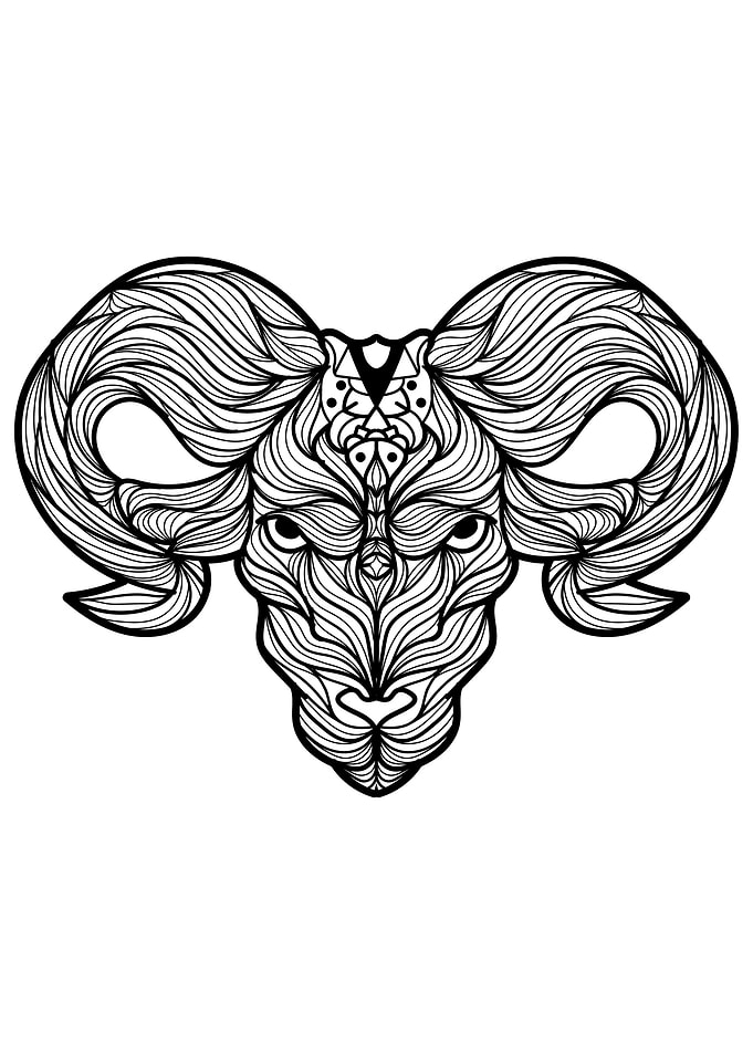 Ram Skull