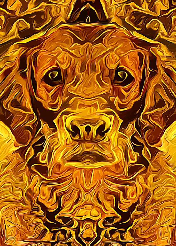 Golden Retriever 1