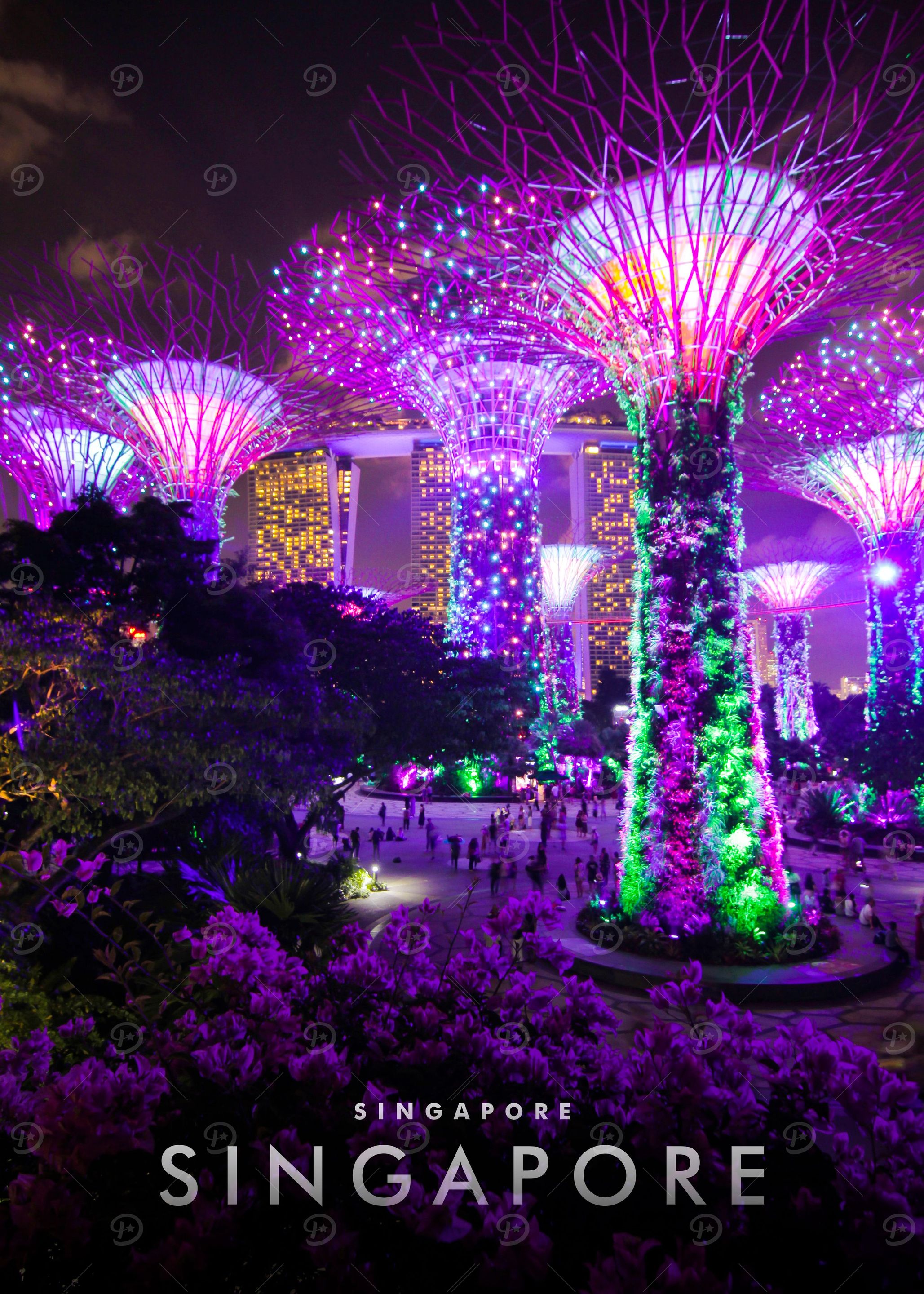 Singapore City View