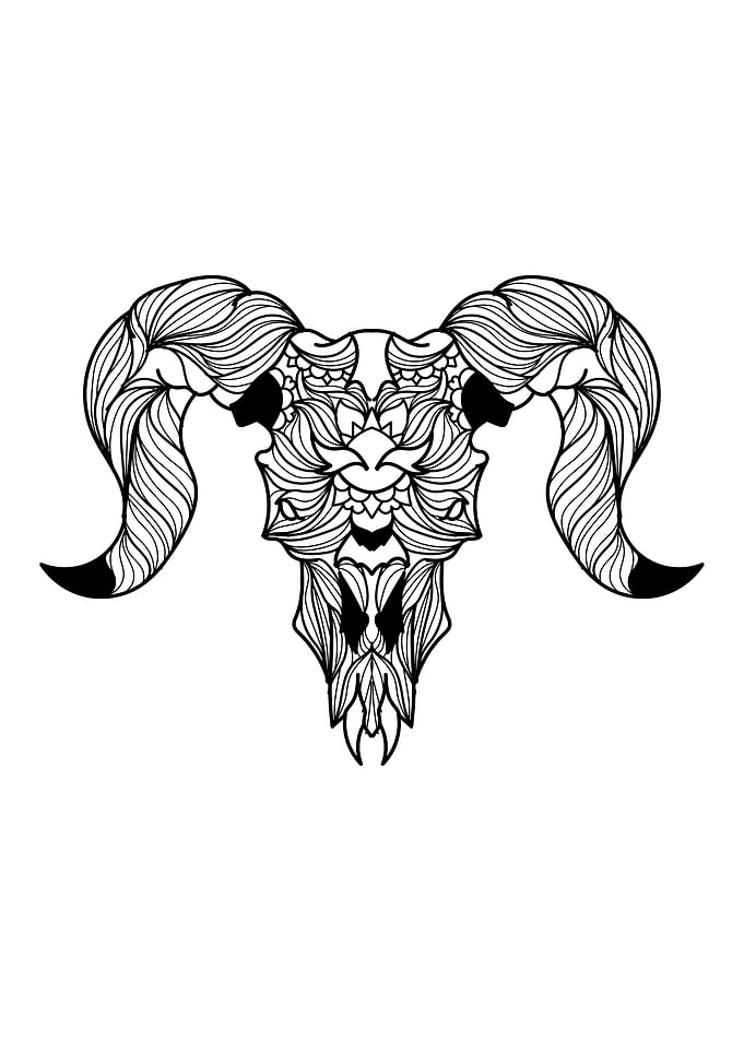 Ram Skull