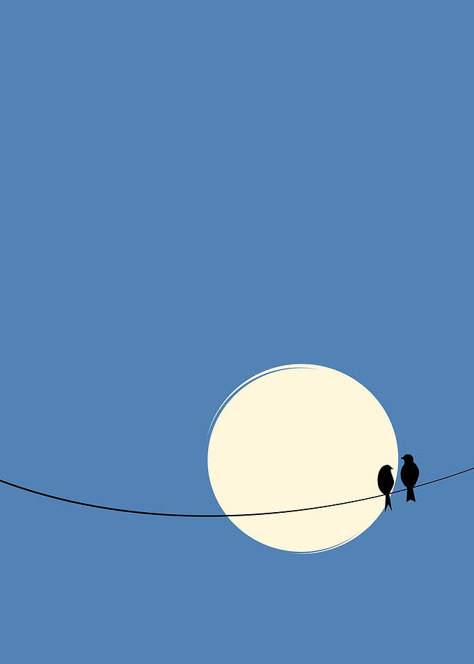 sunset isolate two birds