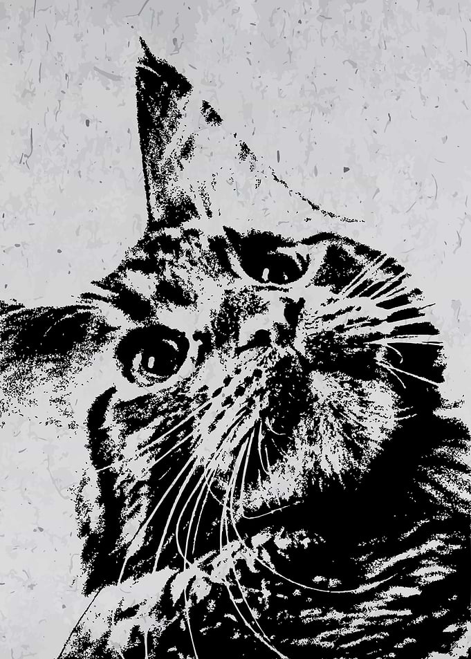 Cute little Cat Wall Art