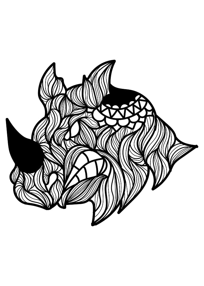 Wild Rhino