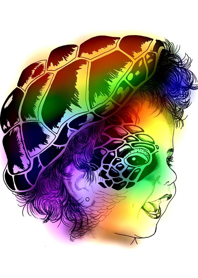 Colorful Girl Face Turtle