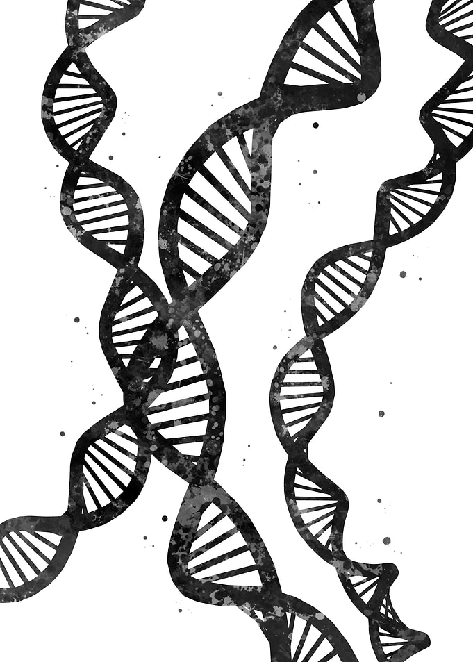 DNA