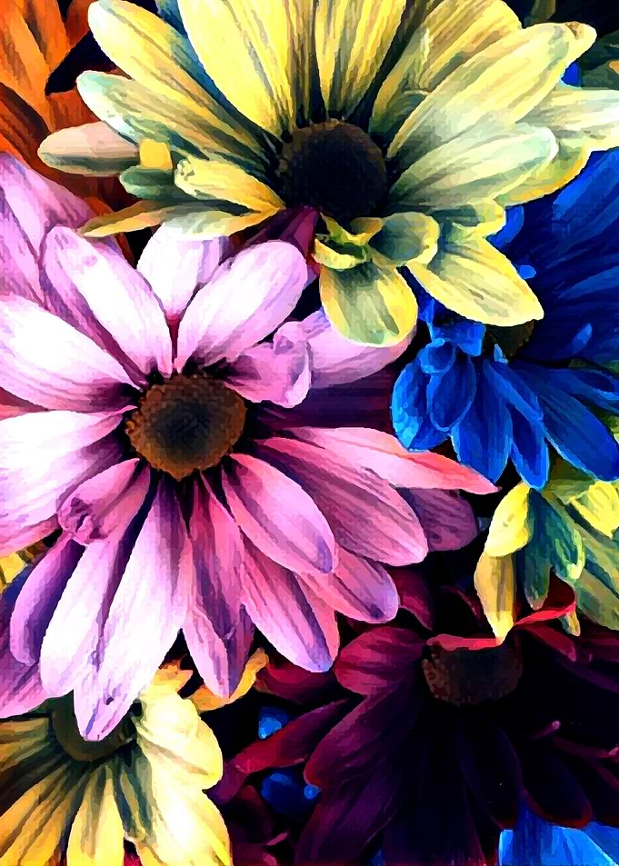 Flowers