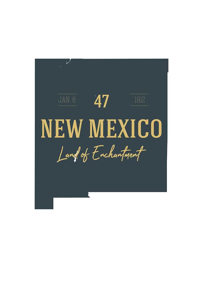 New Mexico State Map USA