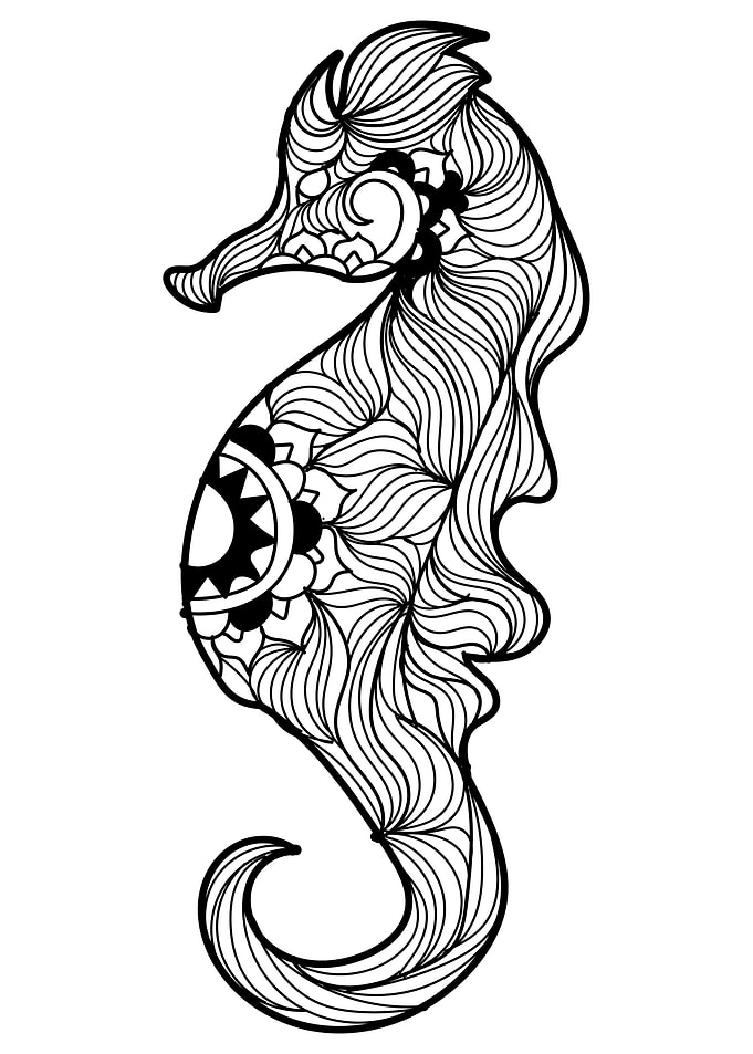 Seahorse