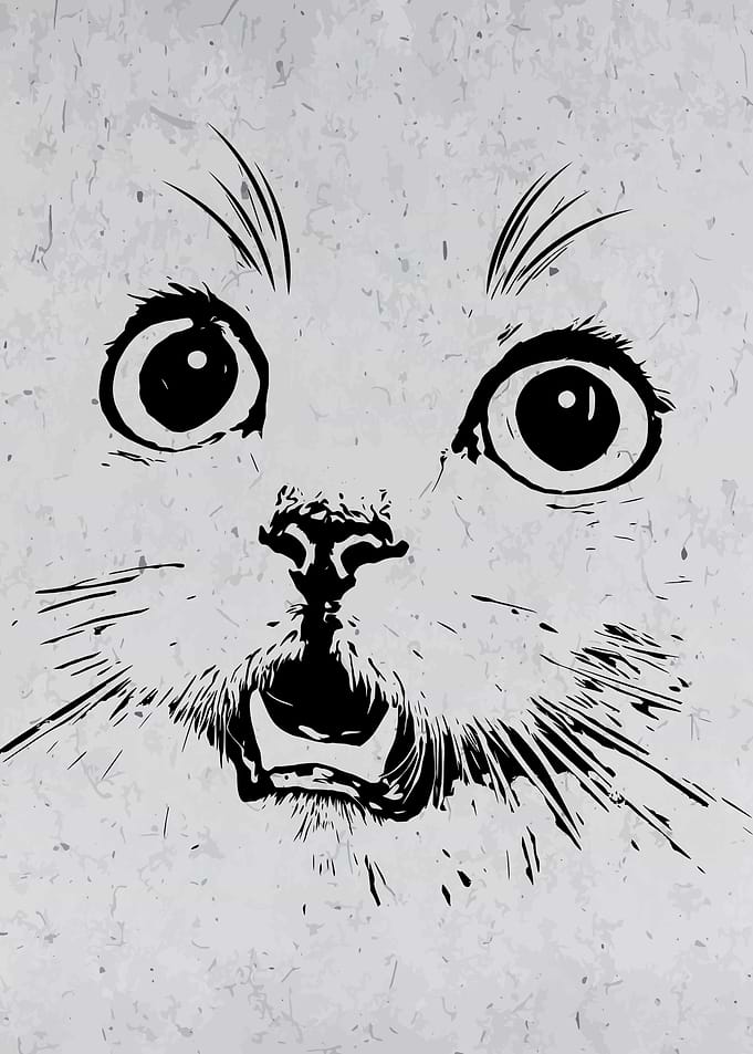 Kitten Cat Sketch Wall Art