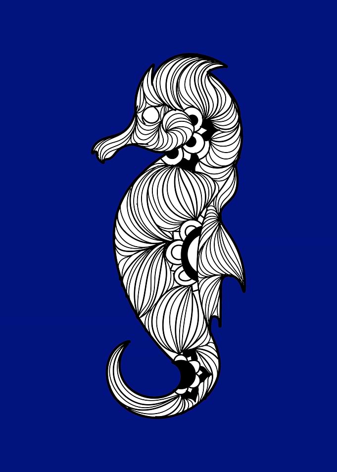 Seahorse