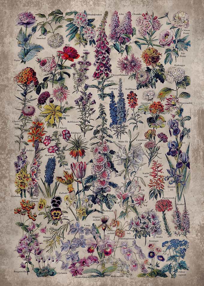 Vintage Flower Art