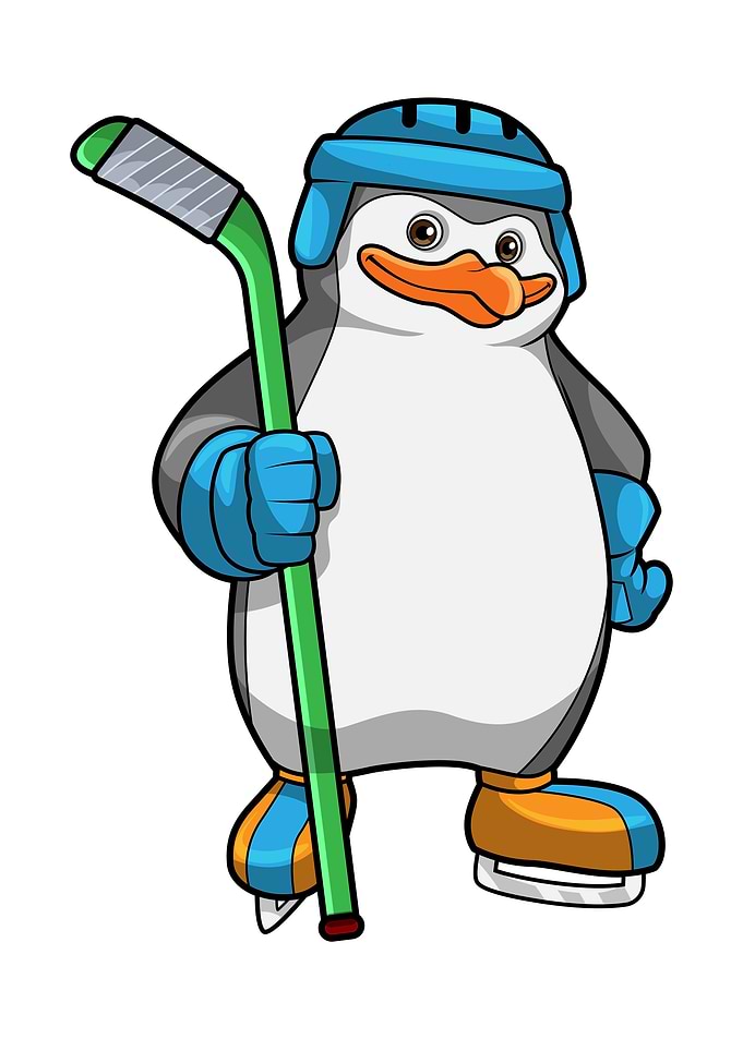 Penguin Ice hockey Helmet