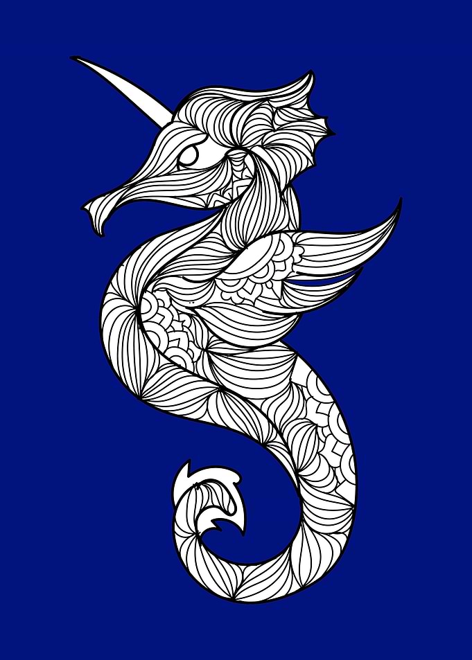 Seahorse