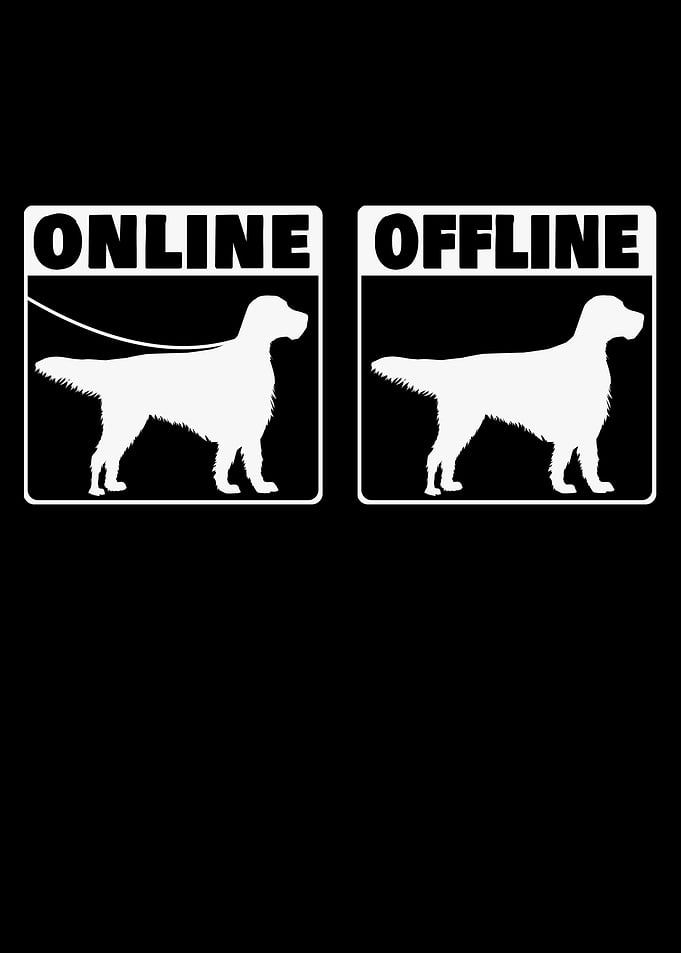 English Setter Online