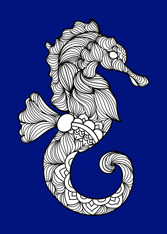 Seahorse