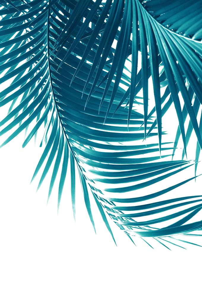 Palm Leaves Teal Blue Vibe