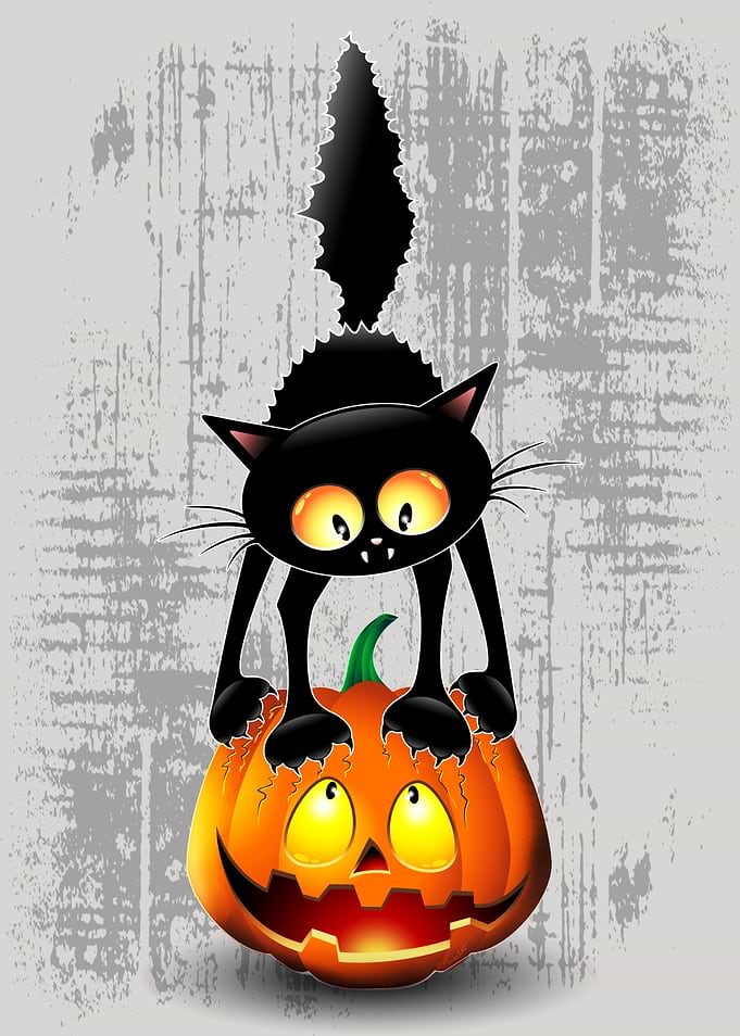 Cat Fun Halloween Cartoon