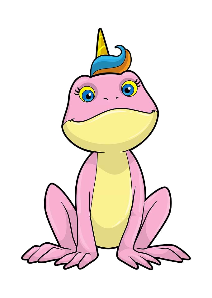 Frog Unicorn