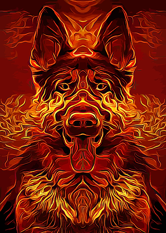 German Shepherd Burning