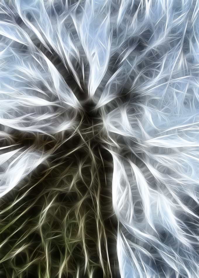 Abstract Tree Art