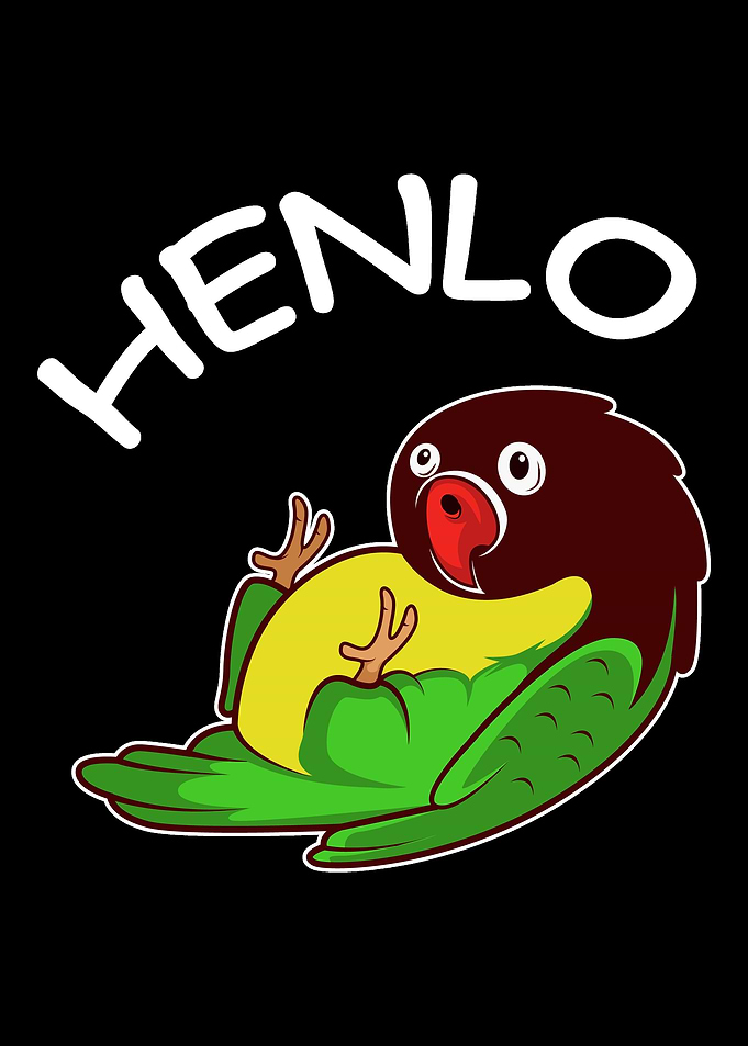 Lovebird Henlo Bird Enthus