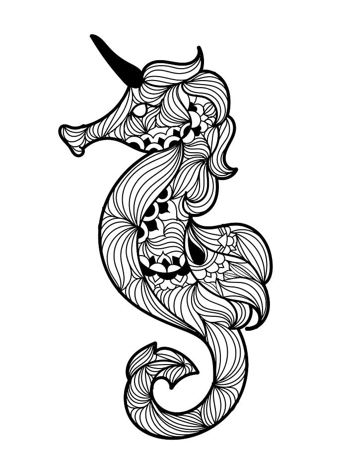 Seahorse