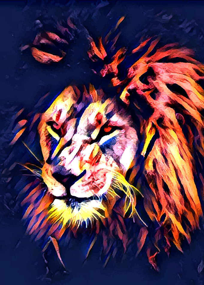 The Dark Lion