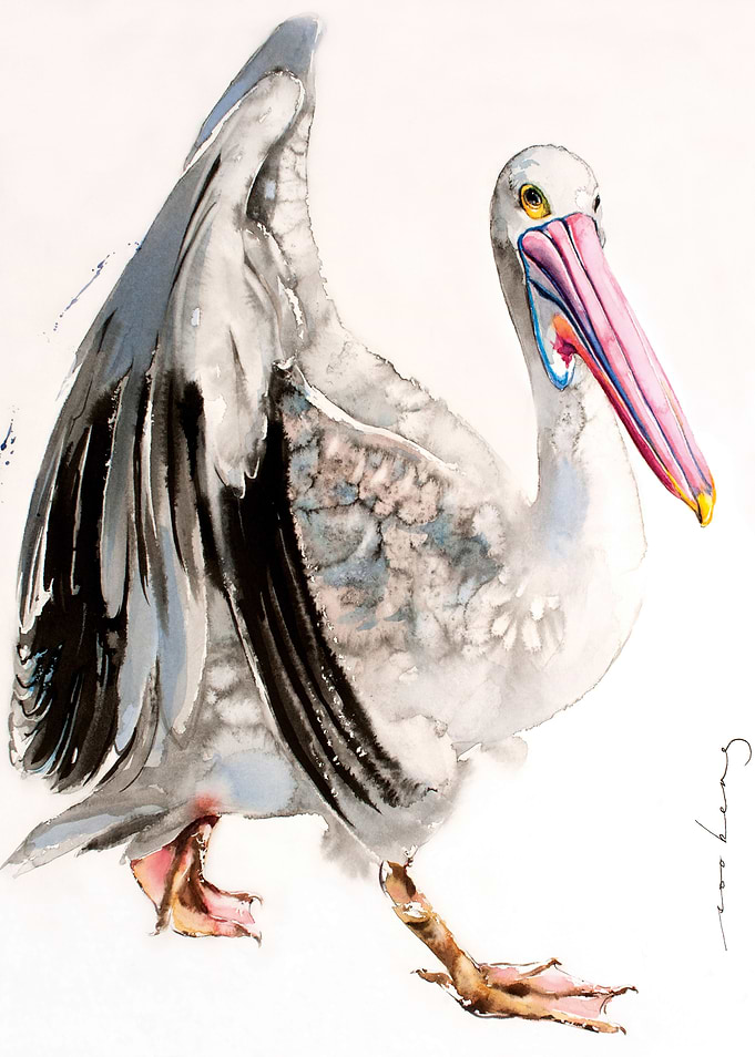 Pelican Diva