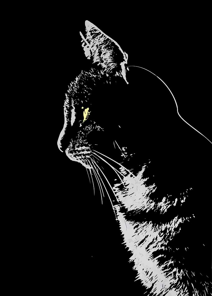 Cut Cat Silhouette WallArt