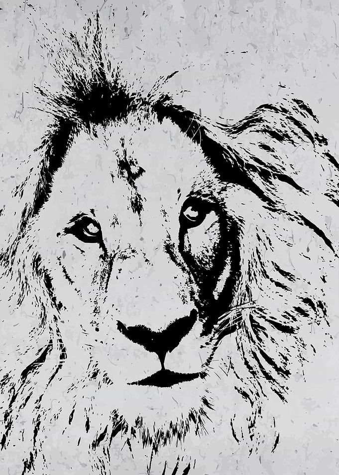 Lion Portrait Black Sketch