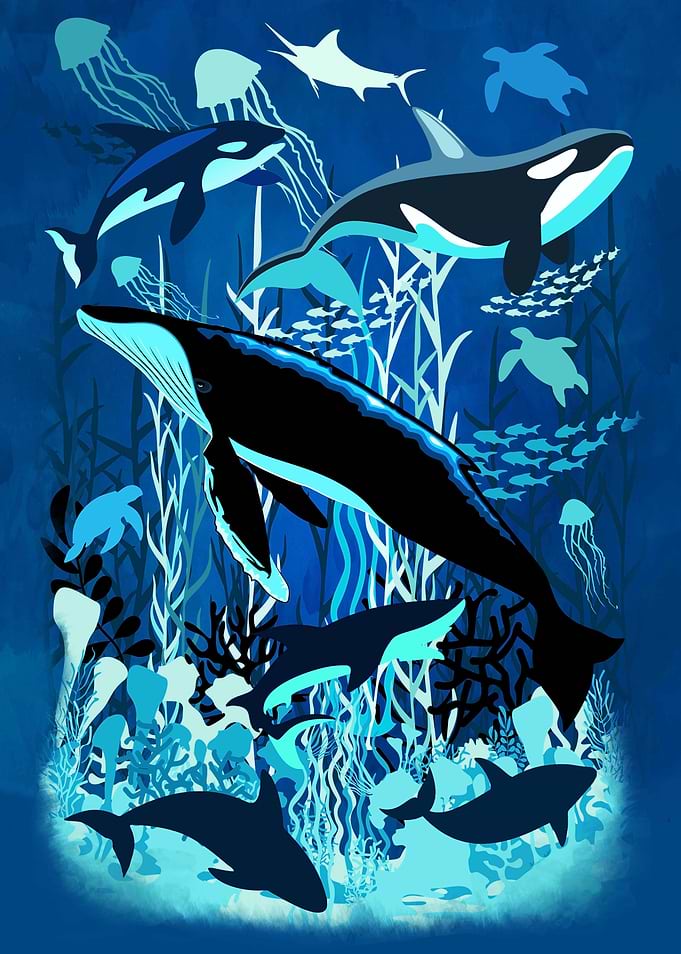 Sealife Blue Shades Dream