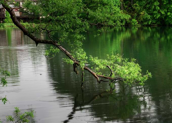 Goshikinuma Park Japan