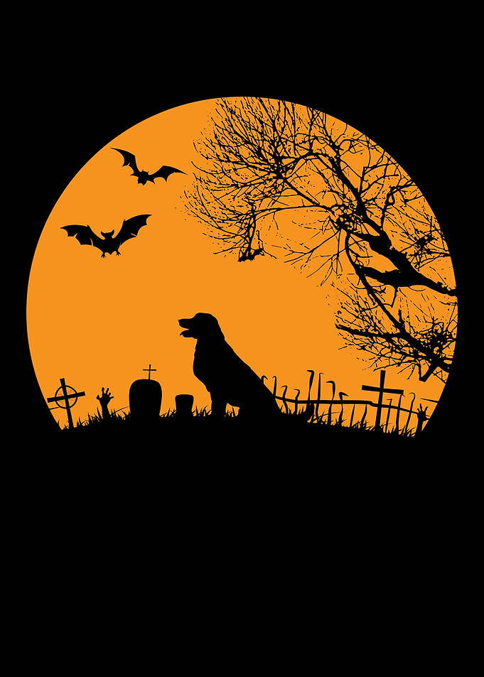 Trick Or Treat Dog