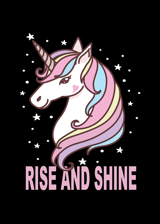 Unicorn Gifts Rise And