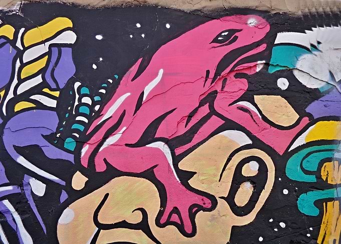 Purple Frog