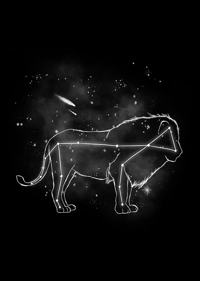 Lion Star Sign Gift