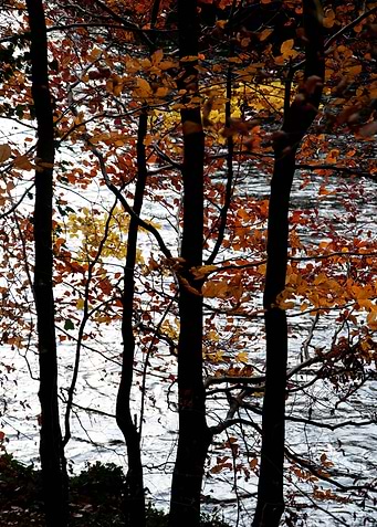 By the River