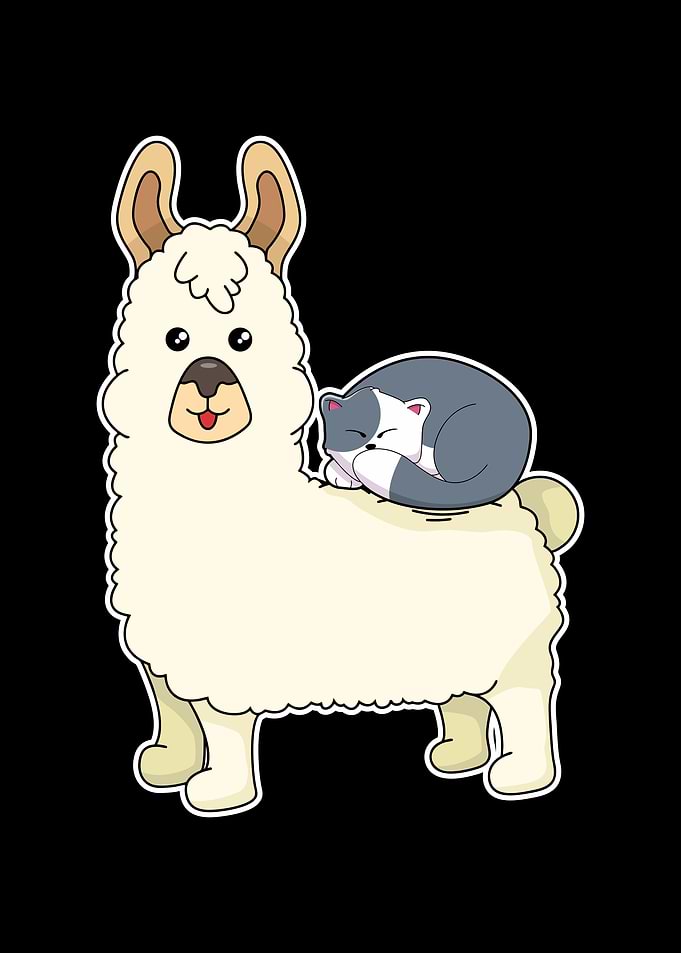 Llama Cat Alpaca Kitten
