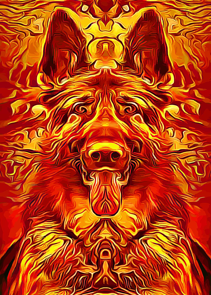 German Shepherd Flaming