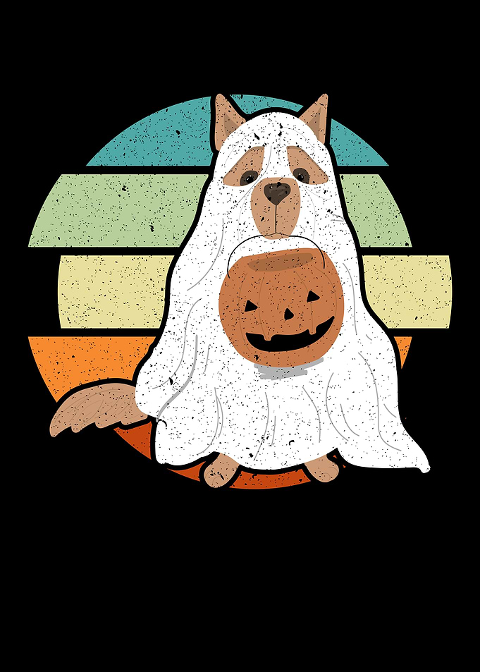 Trick Or Treat Dog