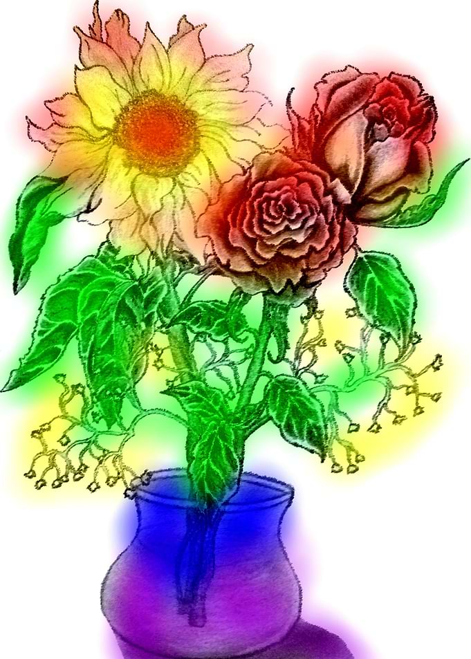 Colorful Flowers