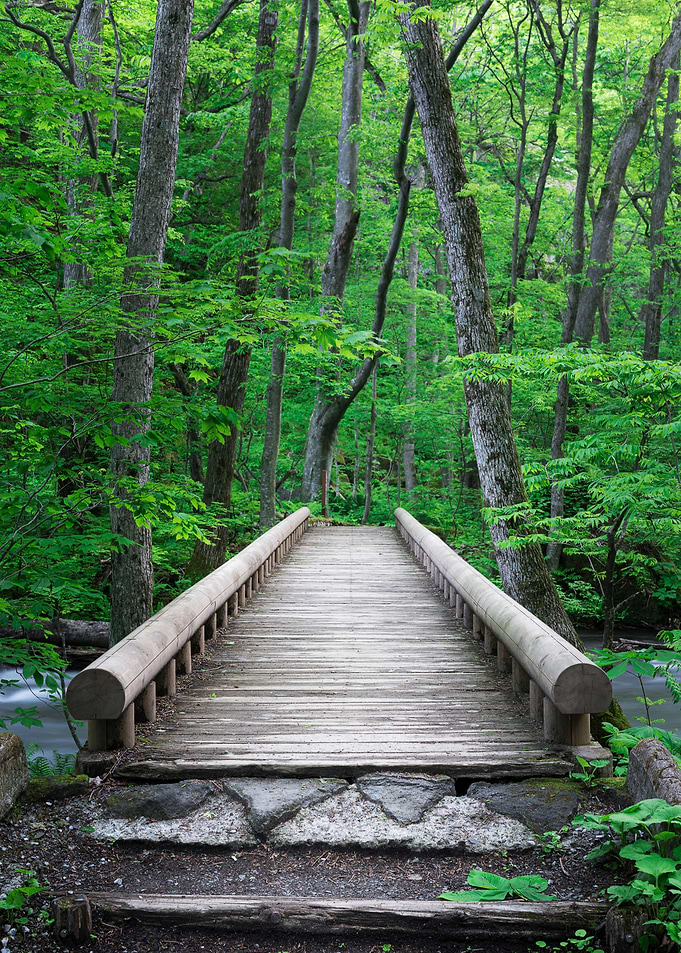 Spring Green Boardwalk