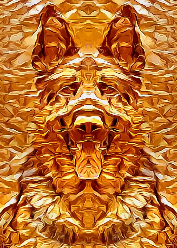 German Shepherd Gold