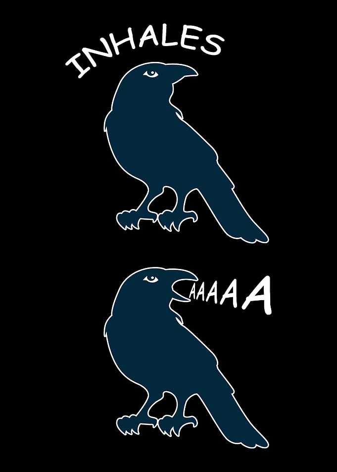 Crow Scream Geek or Hipste