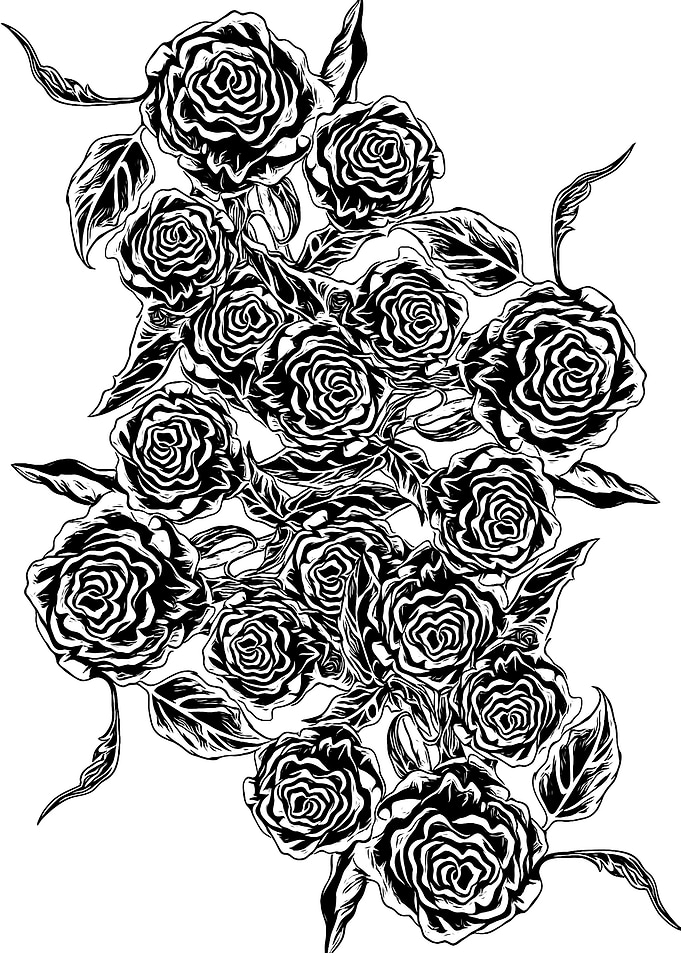 Black Roses